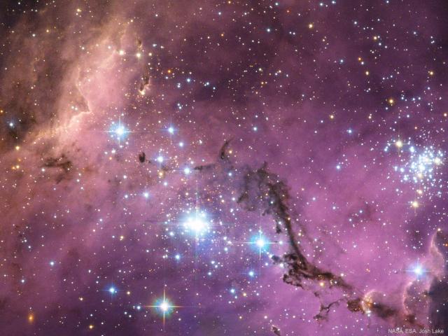 N11: Star Clouds of the LMC