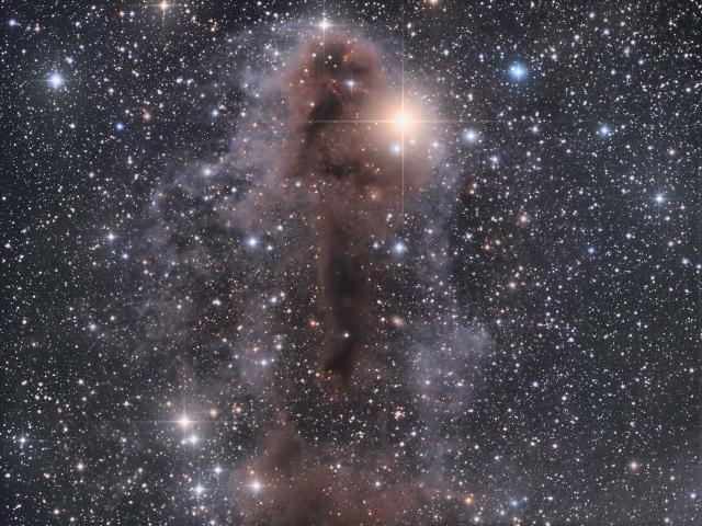 Lynds Dark Nebula 1251