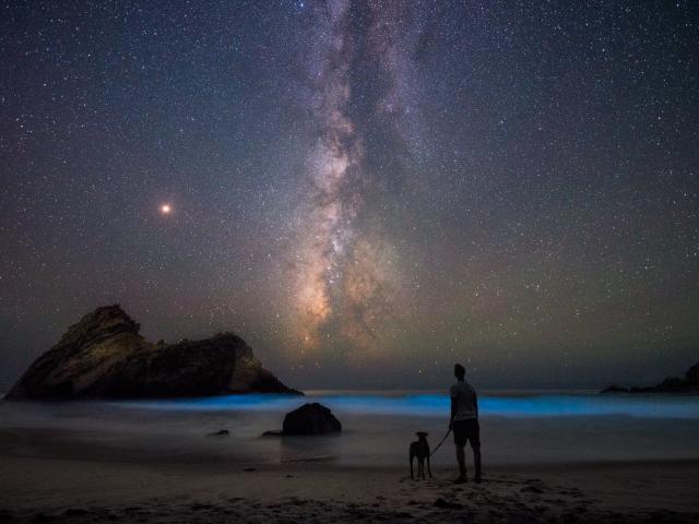 On the Beach with Mars
