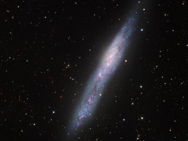 Magellanic Galaxy NGC 55