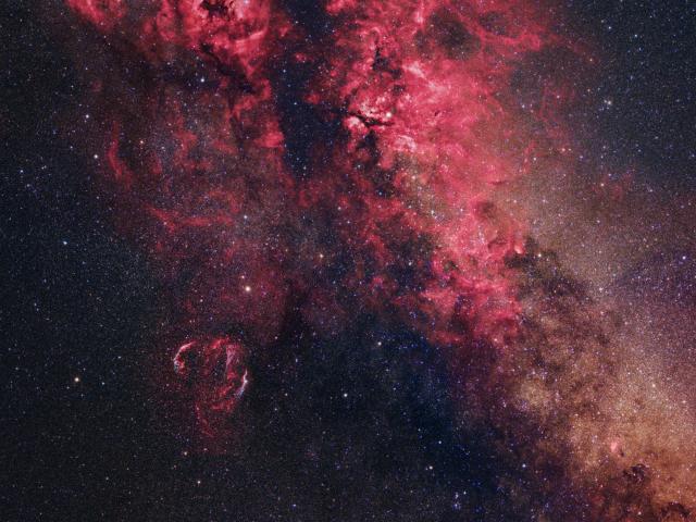 Cygnus Skyscape