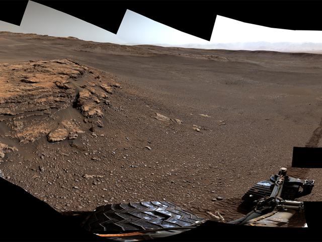 Curiosity at Teal Ridge