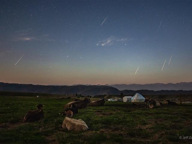 The Perseids and the Plough