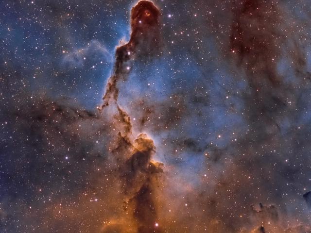The Elephant’s Trunk Nebula in Cepheus