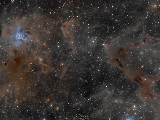 The Iris Nebula in a Field of Dust