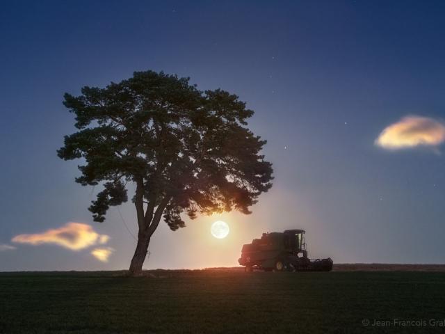 A Harvest Moon