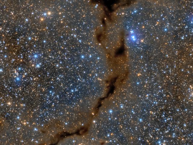 Dark Seahorse in Cepheus