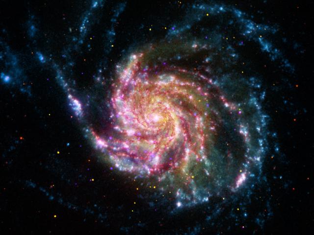 21st Century M101