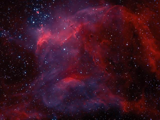 NGC 3572 and the Southern Tadpoles