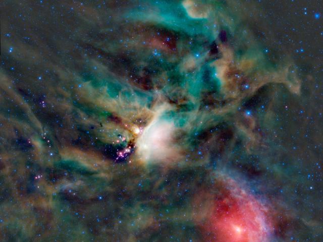 Young Stars in the Rho Ophiuchi Cloud