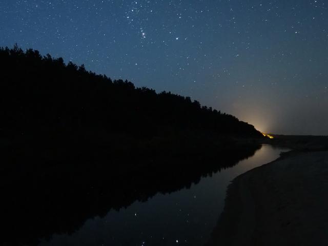 Orion Rising