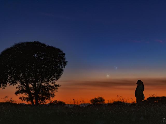 Venus and Jupiter on the Horizon