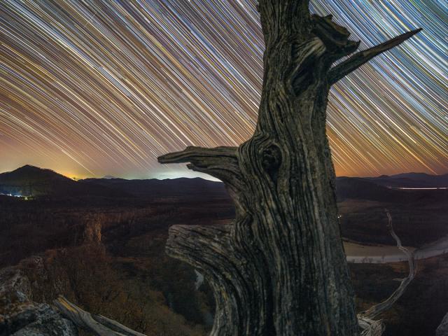 Lines of Time