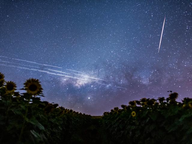 Starlink Satellite Trails over Brazil