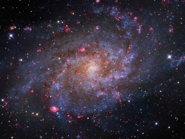 M33: The Triangulum Galaxy