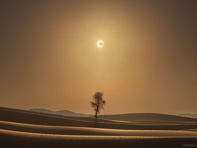 A Desert Eclipse