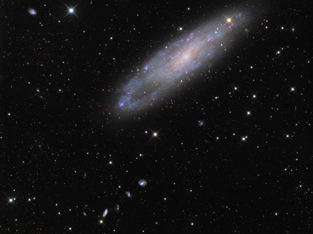 NGC 247 and Friends