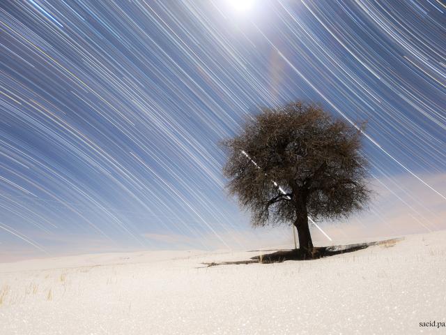 Star Trails of the North and South