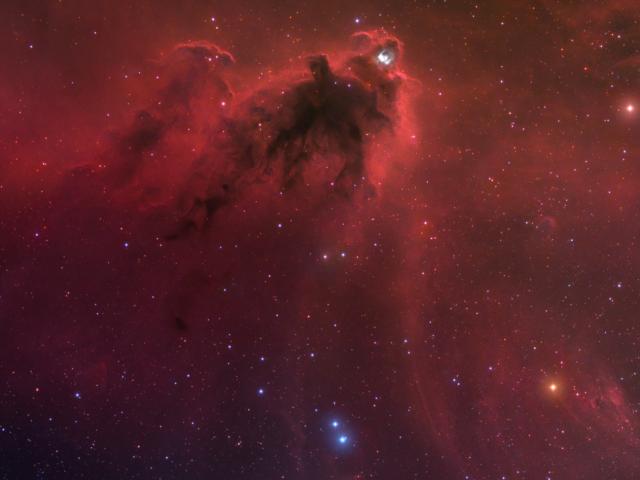LDN 1622: Dark Nebula in Orion