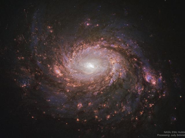 M77: Spiral Galaxy with an Active Center