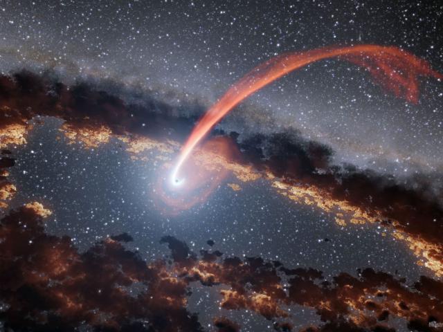 A Black Hole Disrupts a Passing Star