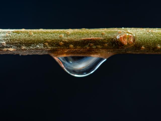A Little Drop of Galaxy