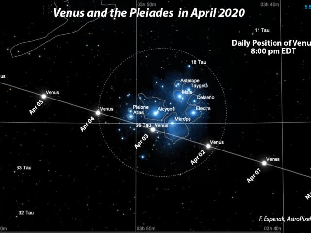 Venus and the Pleiades in April