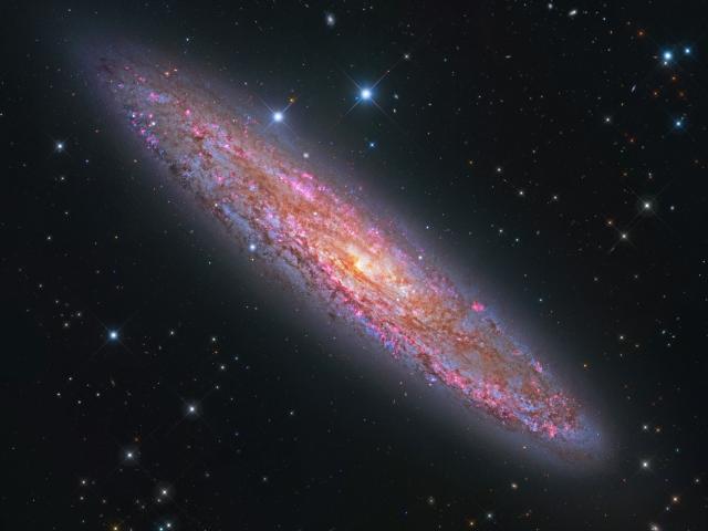 NGC 253: The Silver Coin Galaxy