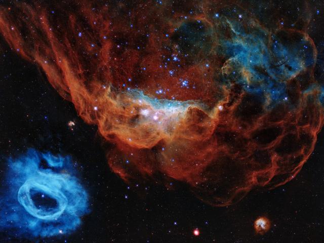 Hubble’s Cosmic Reef