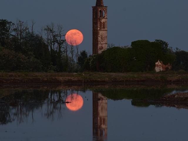 Full Flower Moonrise