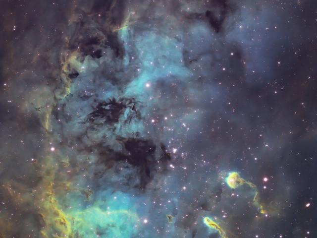 The Tadpoles of IC 410