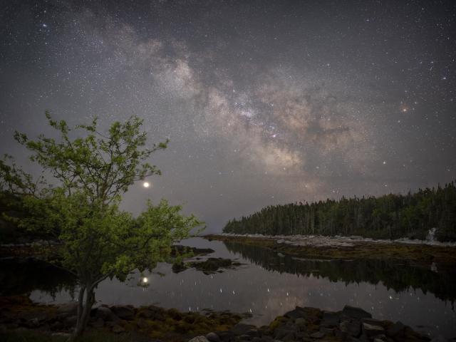 The Galaxy, the Planet, and the Apple Tree