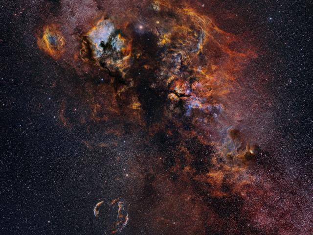 Cygnus Skyscape
