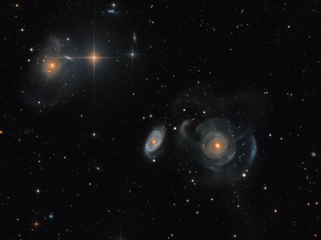 Shell Galaxies in Pisces