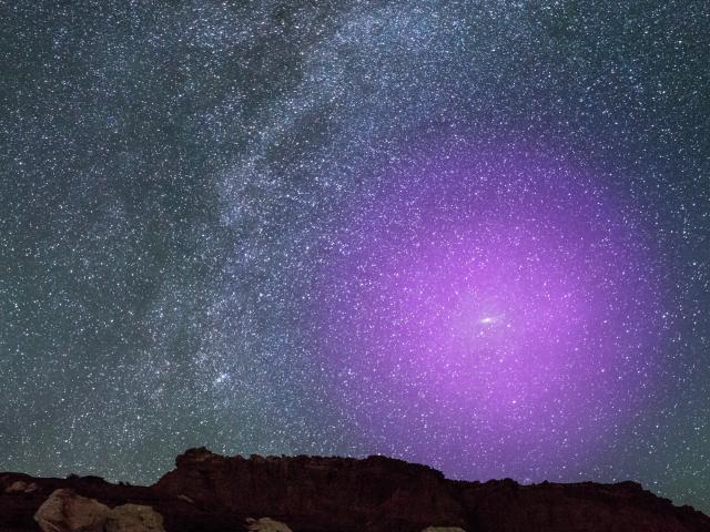 A Halo for Andromeda