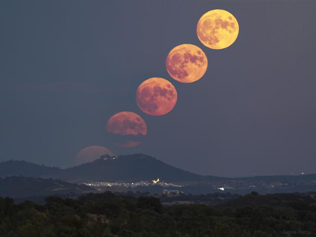 Corn Moon Rising