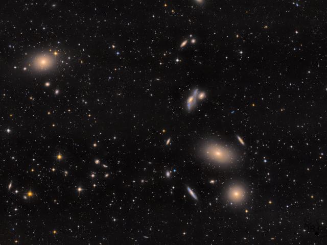Virgo Cluster Galaxies