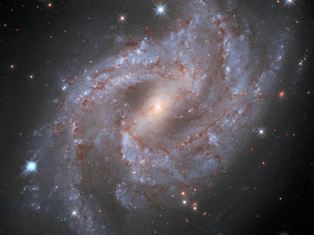 Supernova in NGC 2525
