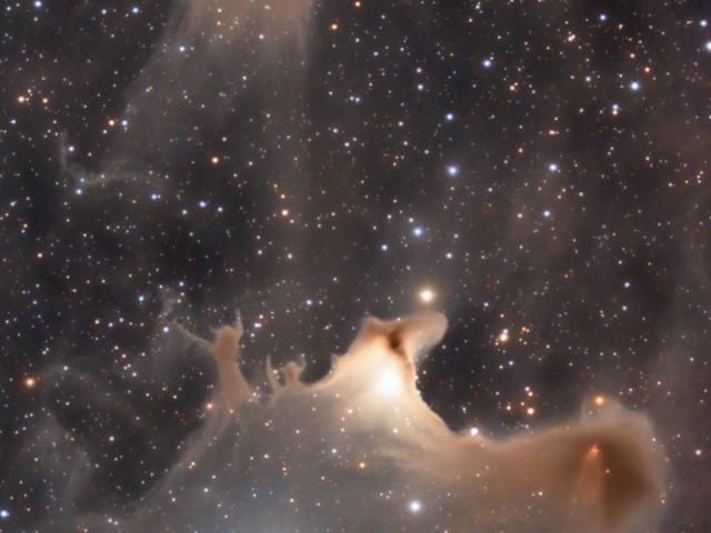 Reflections of the Ghost Nebula