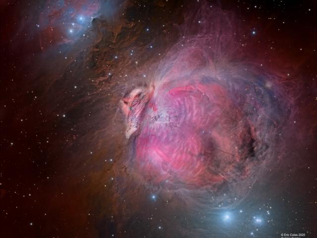 The Great Turkey Nebula