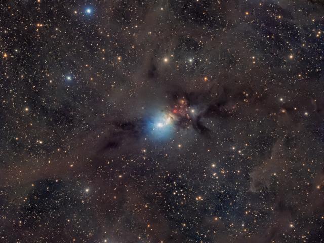 Stardust in the Perseus Molecular Cloud
