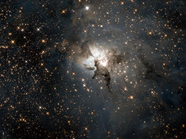 Central Lagoon in Infrared