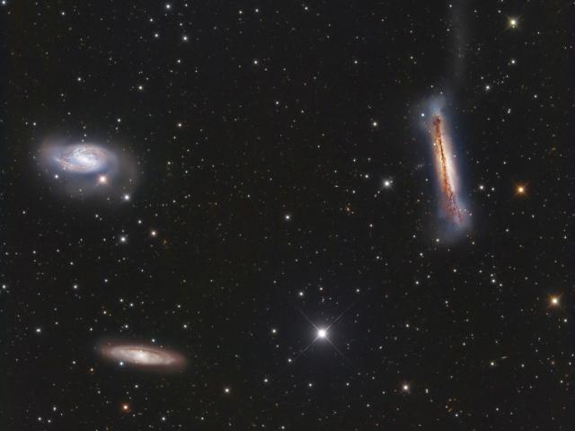 The Leo Trio