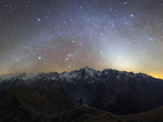 Zodiacal Night
