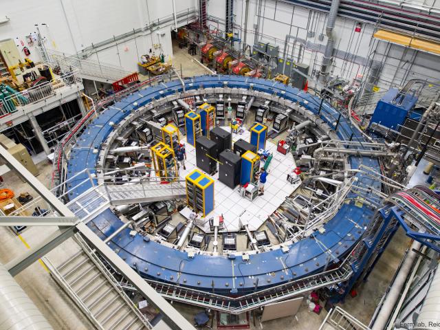 Confirmed Muon Wobble Remains Unexplained