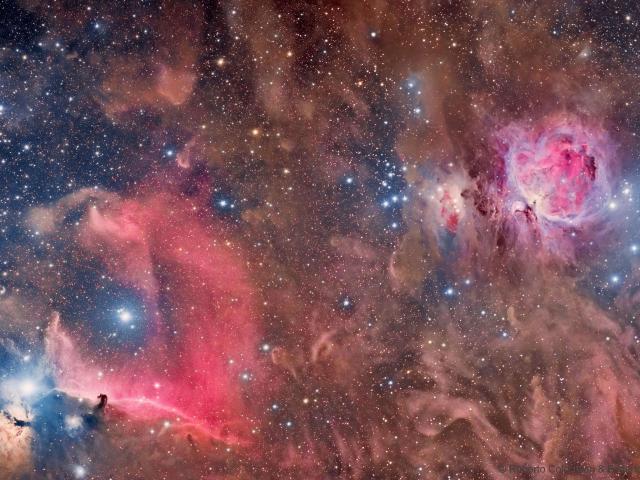 Horsehead and Orion Nebulas
