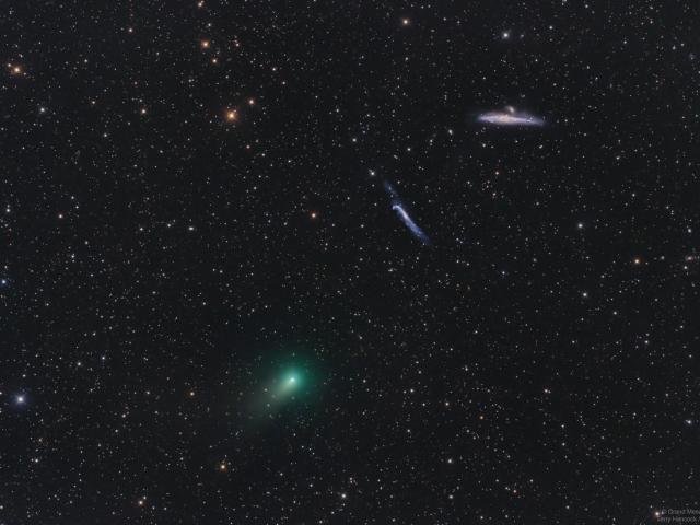 The Comet, the Whale, and the Hockey Stick