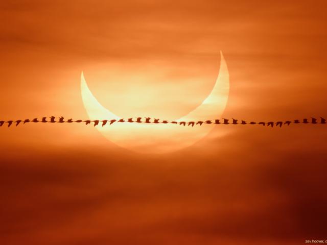 Eclipse Flyby