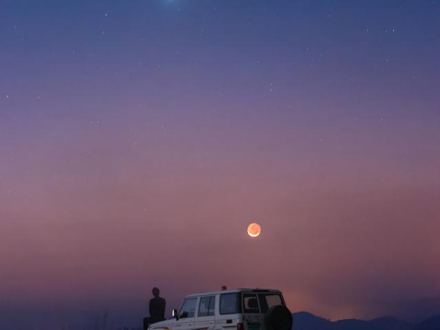 Love and War by Moonlight