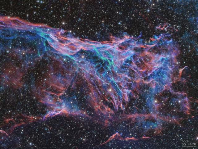 Flemings Triangular Wisp